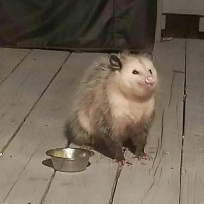 ‘Please Hesitate To Reach Out’: 50 Pics That Are Beyond Bizarre And Ridiculously Confusing