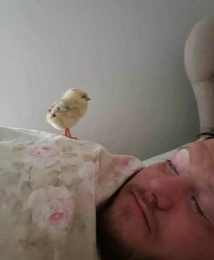 ‘Please Hesitate To Reach Out’: 50 Pics That Are Beyond Bizarre And Ridiculously Confusing