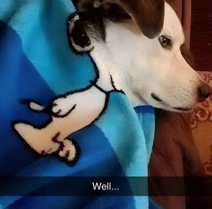 Please-Hesitate-Cursed-Images