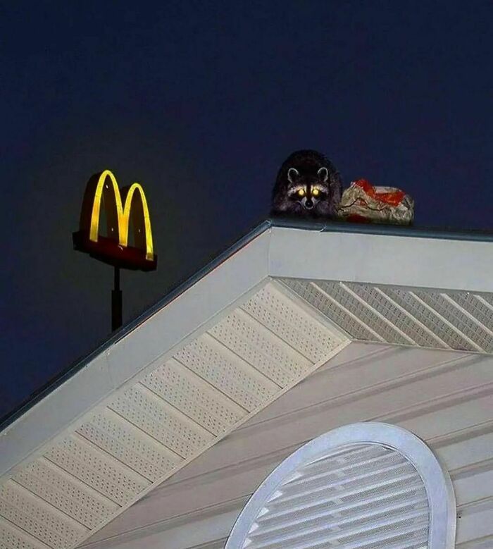 ‘Please Hesitate To Reach Out’: 50 Pics That Are Beyond Bizarre And Ridiculously Confusing