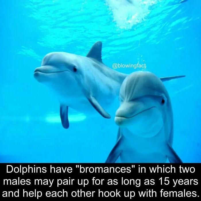 Interesting-Blowing-Facts-Pics