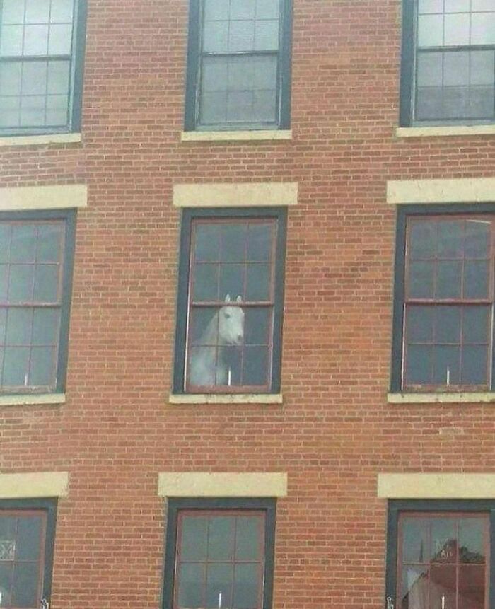 Disturbing-Zone-Pics