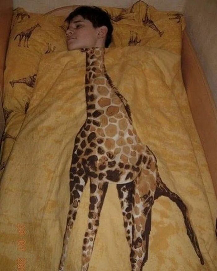 Disturbing-Zone-Pics