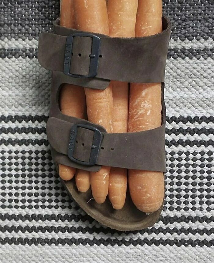 Disturbing-Zone-Pics