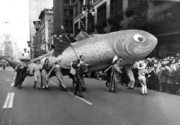 Something Fishy Going On Here