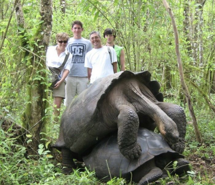 This Was During Our Family Trip To Costa Rica