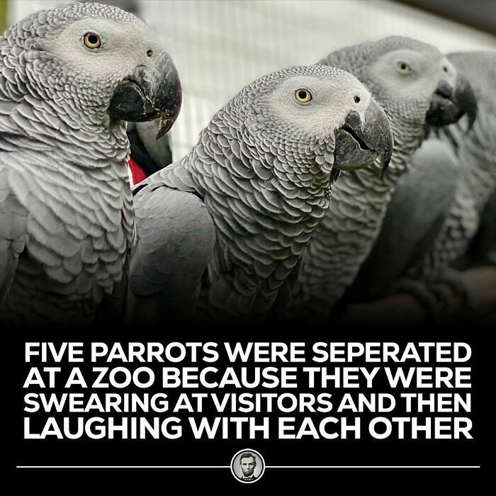 Interesting-Blowing-Facts-Pics