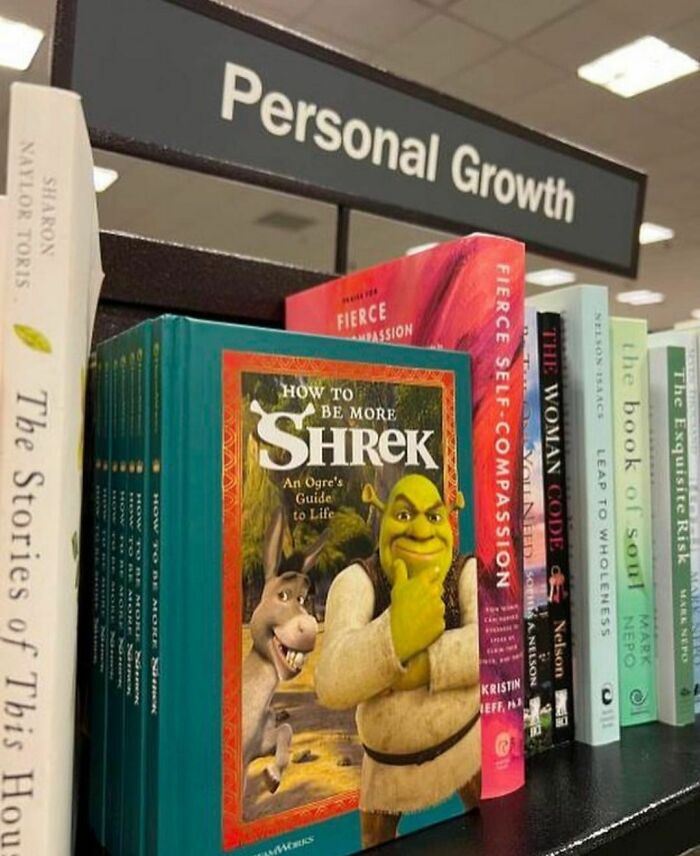 Disturbing-Zone-Pics