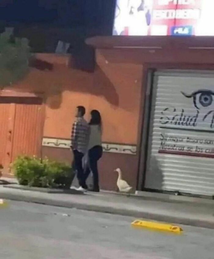 Disturbing-Zone-Pics