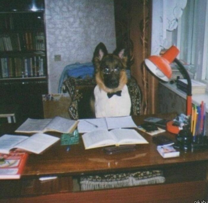 Disturbing-Zone-Pics