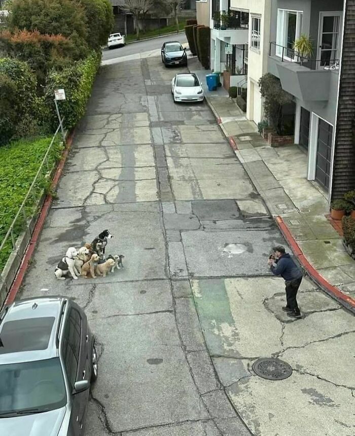 Disturbing-Zone-Pics