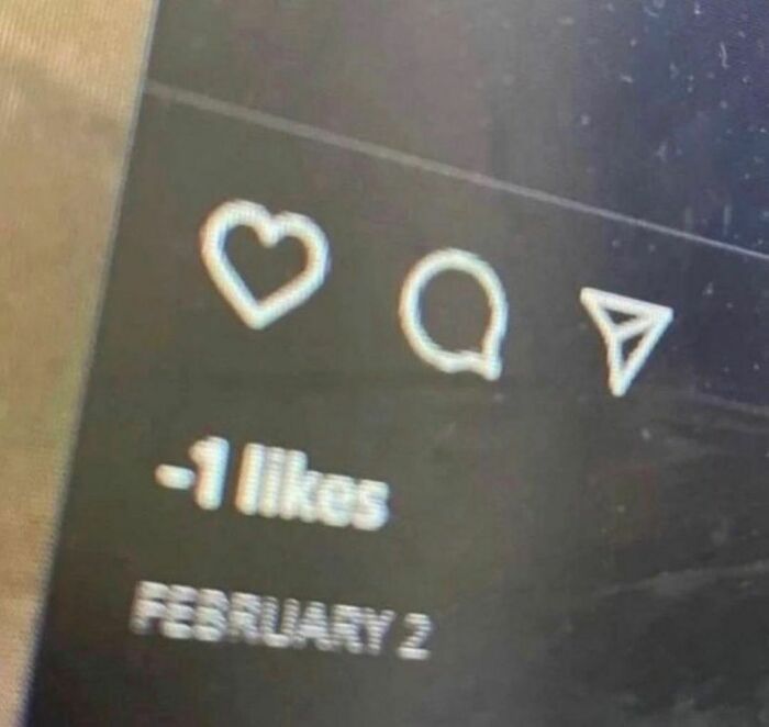 Disturbing-Zone-Pics