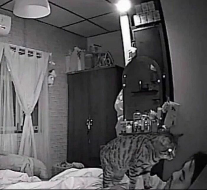 Disturbing-Zone-Pics