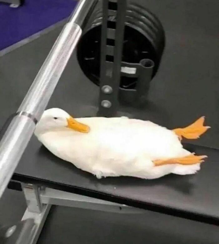 Disturbing-Zone-Pics