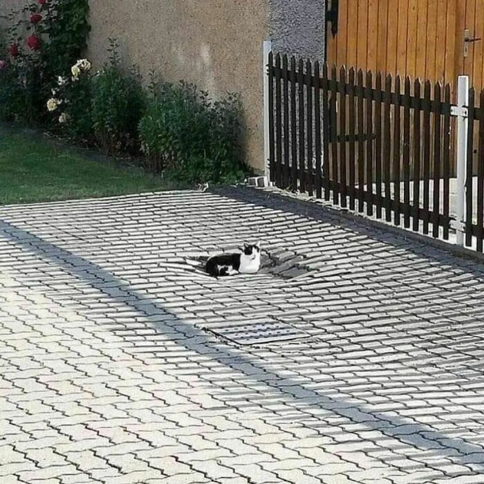 ‘Please Hesitate To Reach Out’: 50 Pics That Are Beyond Bizarre And Ridiculously Confusing