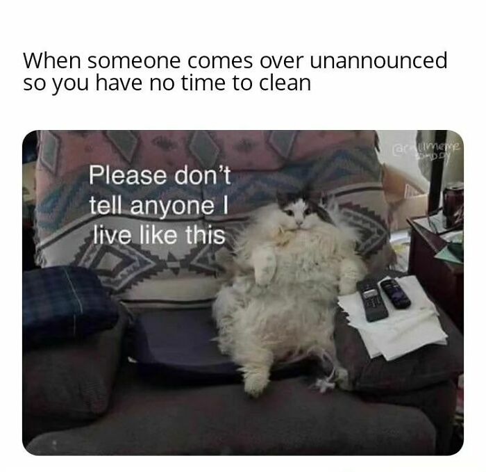 Memes-Introverted-People-Can-Relate