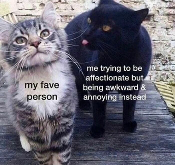 Memes-Introverted-People-Can-Relate