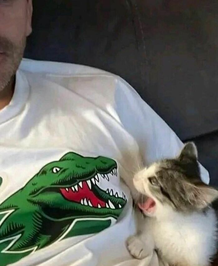 Disturbing-Zone-Pics