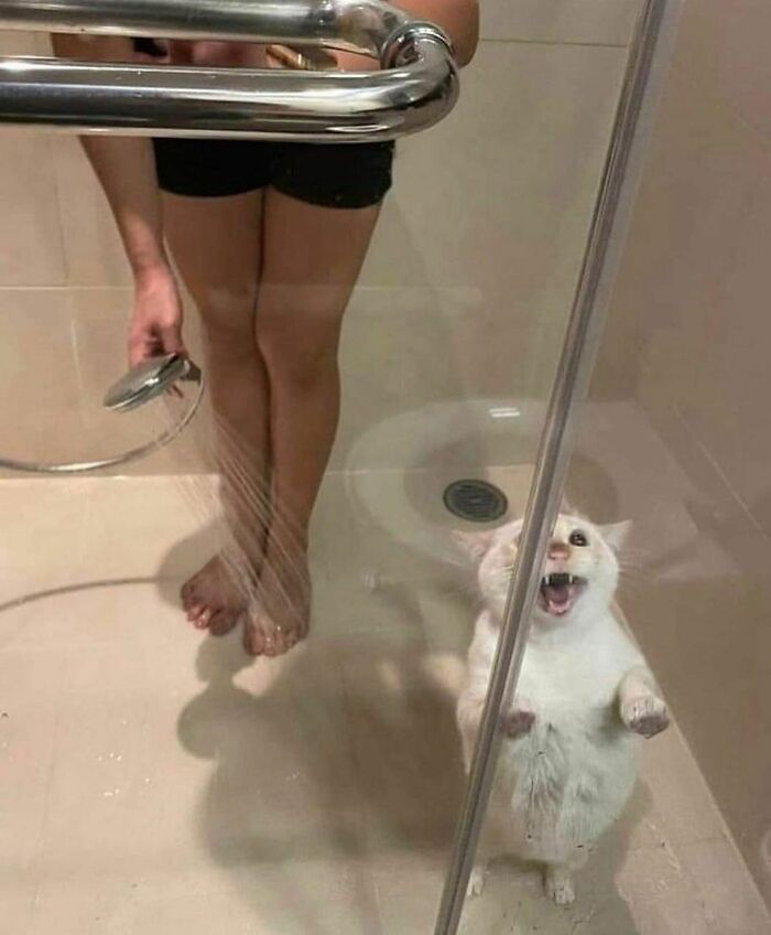 Disturbing-Zone-Pics