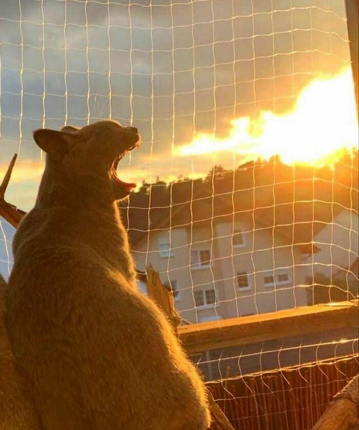 Disturbing-Zone-Pics