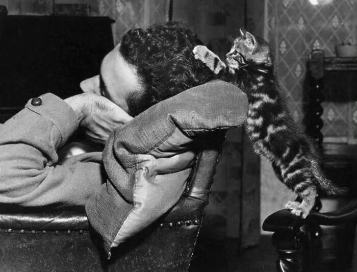 The Teeniest Tiniest Stylist. 1950s