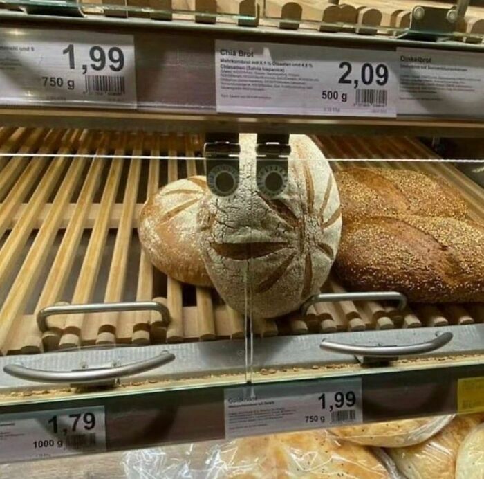 Disturbing-Zone-Pics