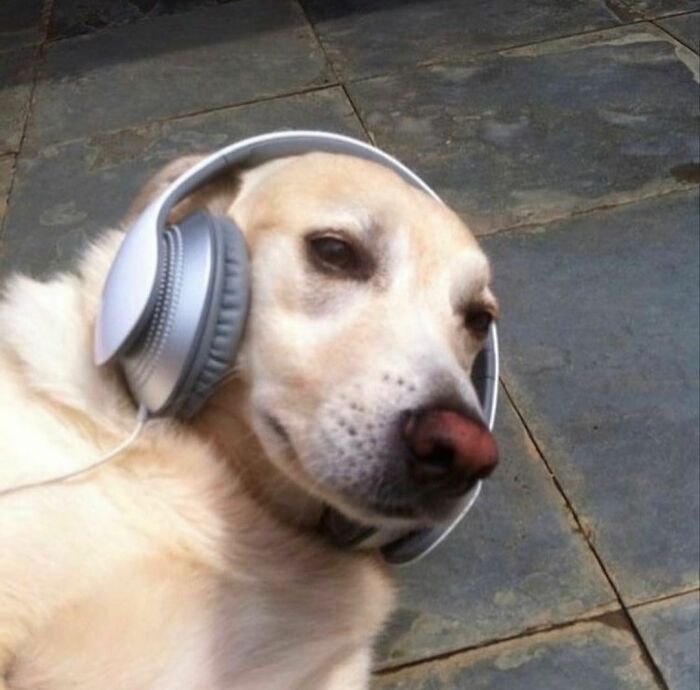 Disturbing-Zone-Pics