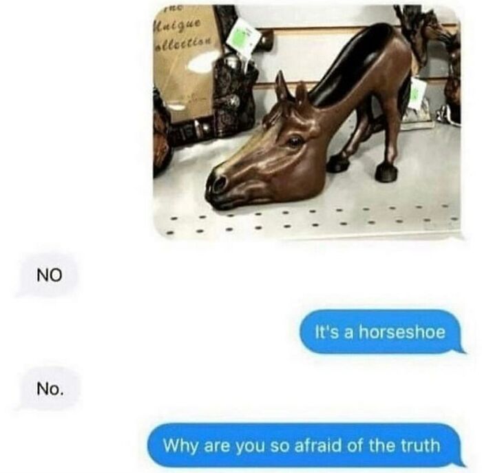 Animal-Humors-Funny-Memes