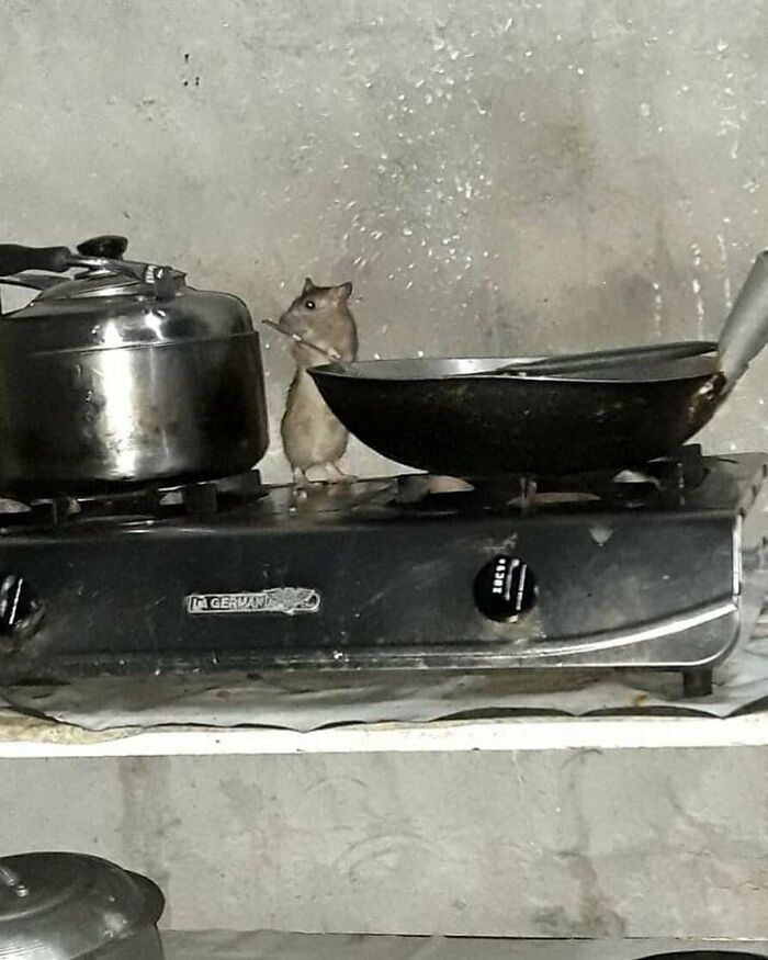 Disturbing-Zone-Pics