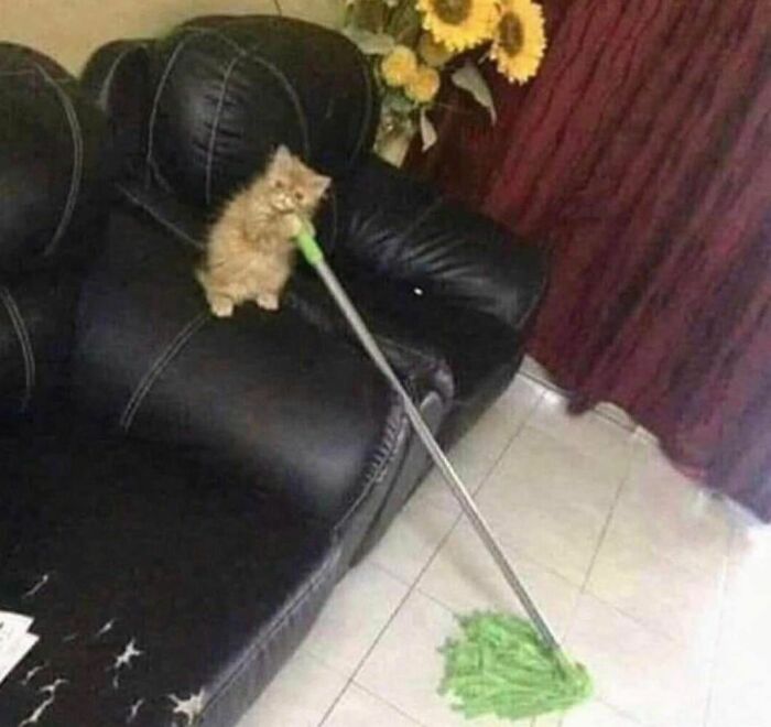 Disturbing-Zone-Pics