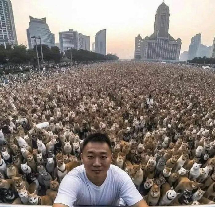 30 Random Images That Are Too Hard To Ignore, As Shared On This Instagram Page