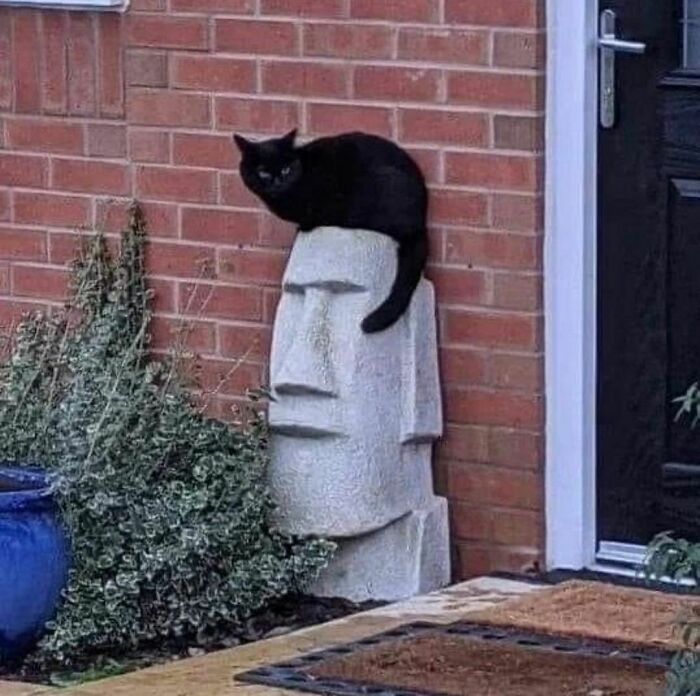 30 Random Images That Are Too Hard To Ignore, As Shared On This Instagram Page