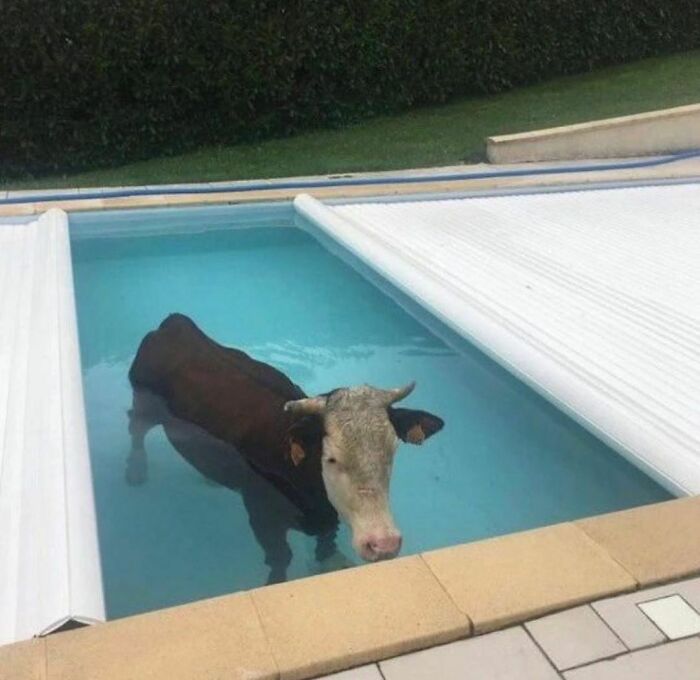 Disturbing-Zone-Pics