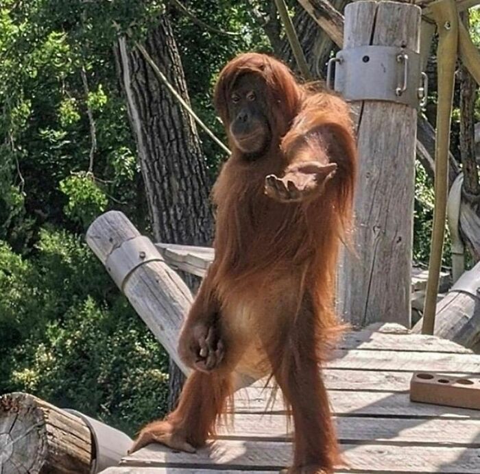 Disturbing-Zone-Pics