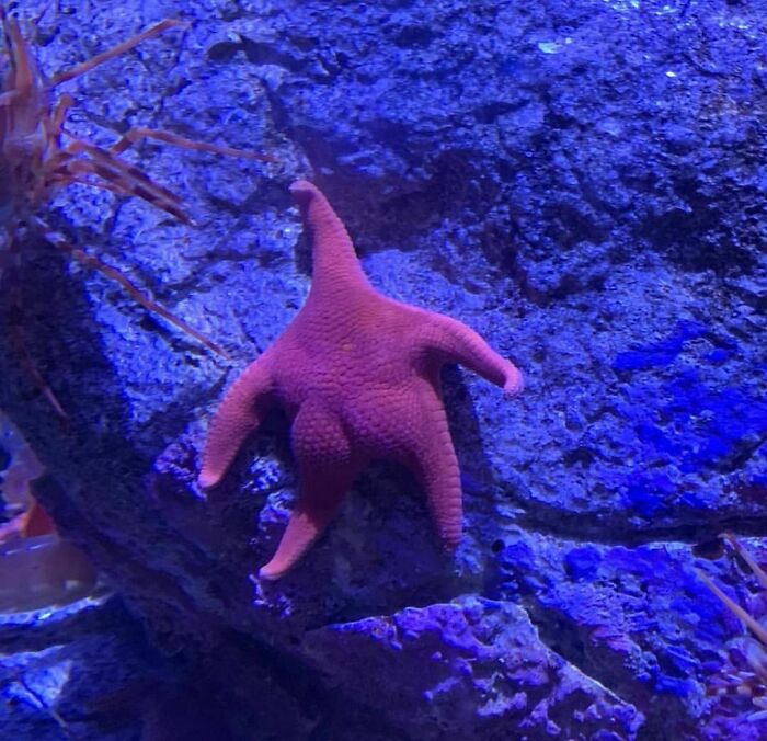 Disturbing-Zone-Pics