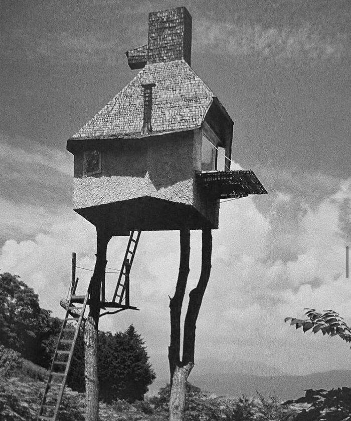 30 Intentional And Accidental Pieces Of Art That People Have Found All Over The World (New Pics)