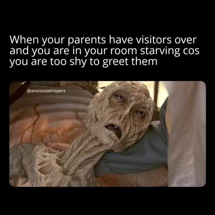 Memes-Introverted-People-Can-Relate