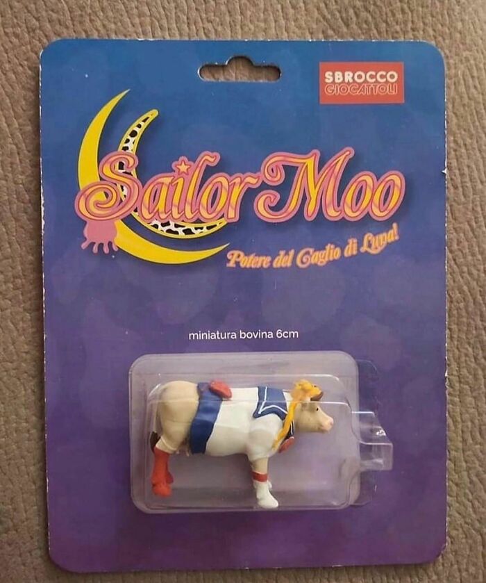 Disturbing-Zone-Pics