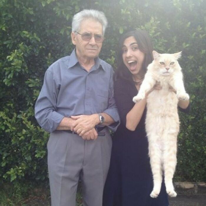 My Mum Wanted Me To Hold Our Cat Up To Demonstrate How Big He Is And He Is Clearly Stoked