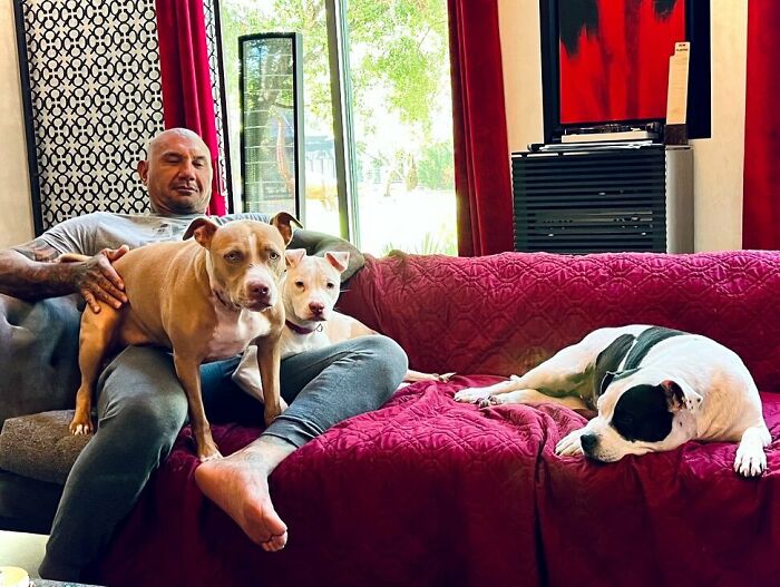 30 Celebrities Who Are Actually Wholesome And Are Not Just Faking It For The Press