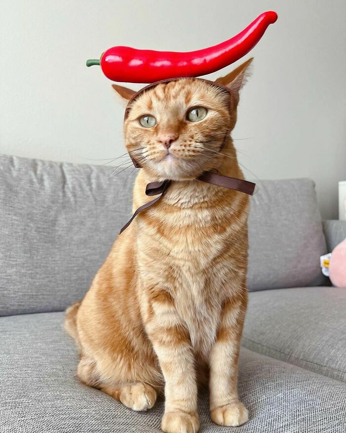 Fall Has Arrived. That Means I Have To Spice Things Up For Halloween Soon