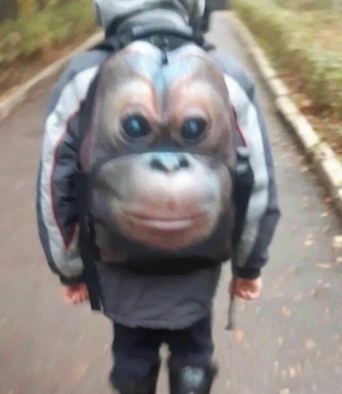 Please-Hesitate-Cursed-Images