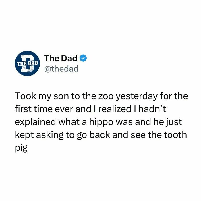 Humorous post from The Dad about a child's zoo visit, mistaking a hippo for a "tooth pig."