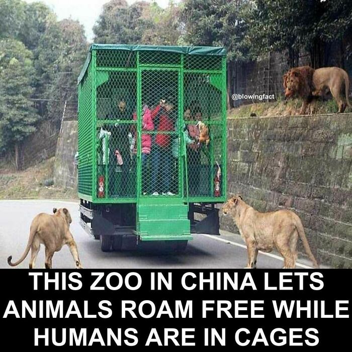 Interesting-Blowing-Facts-Pics