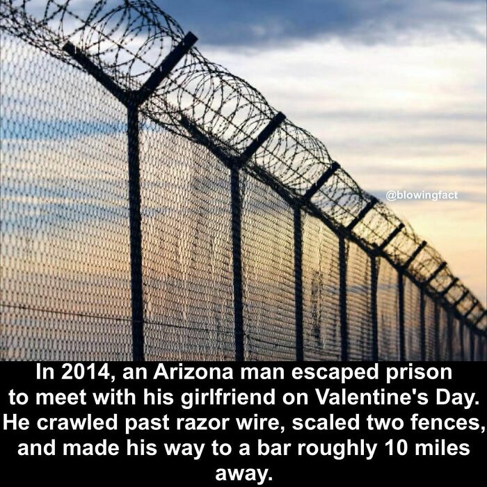 Interesting-Blowing-Facts-Pics