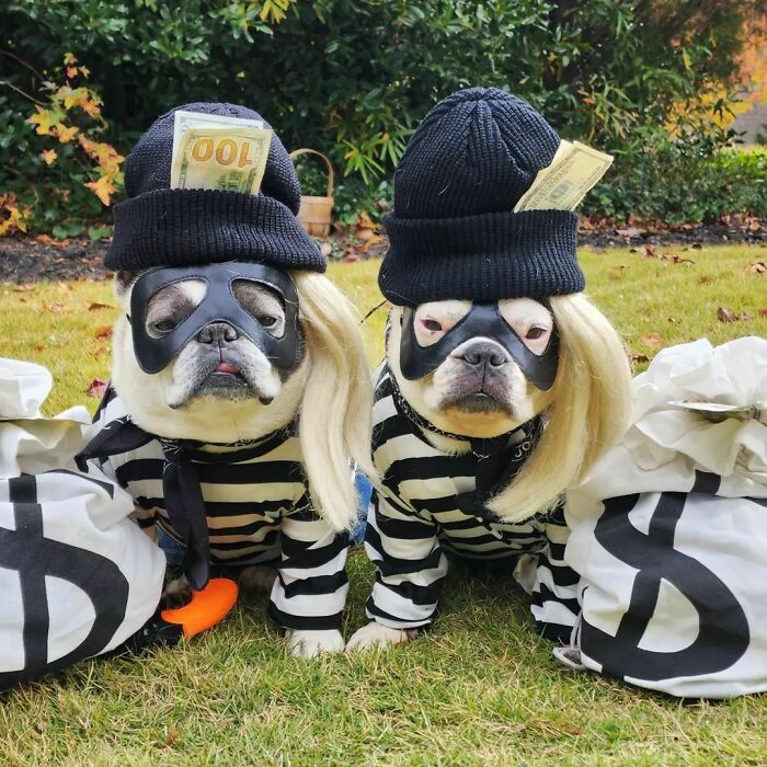 They May Hate Us Together, But They Can't Stop Us