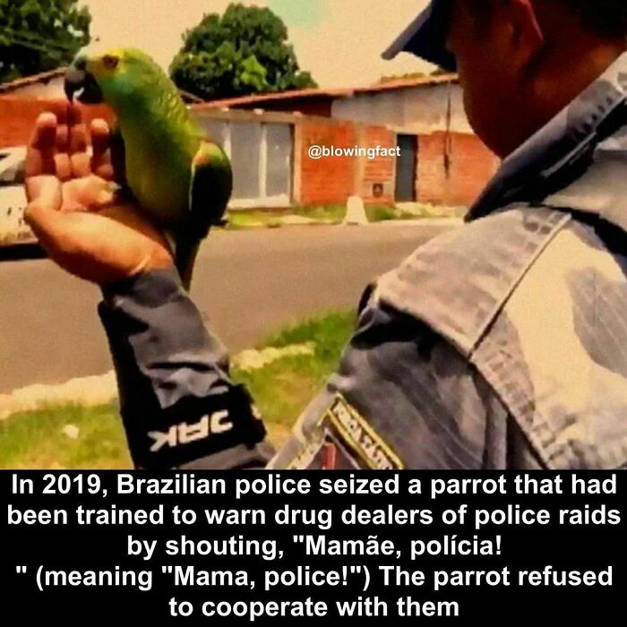 Interesting-Blowing-Facts-Pics