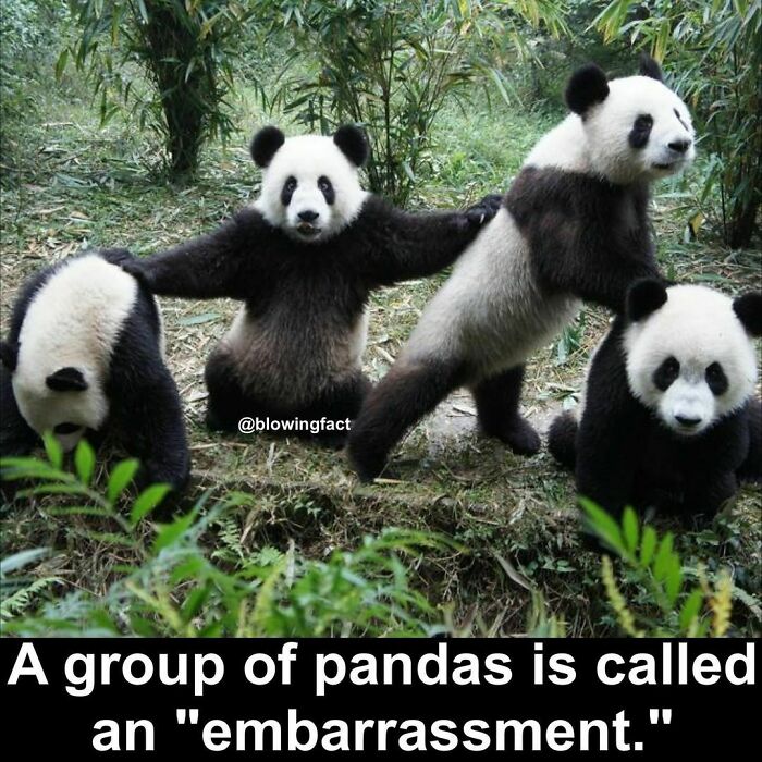 Interesting-Blowing-Facts-Pics