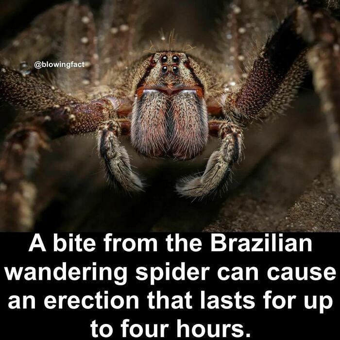 Interesting-Blowing-Facts-Pics