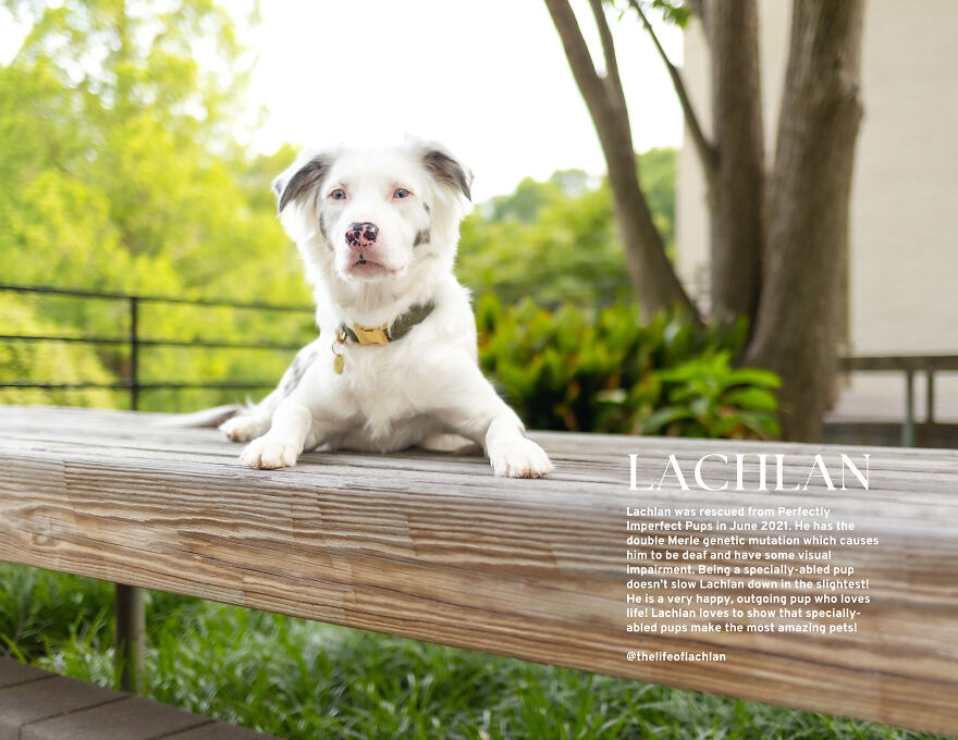 Mister December, Lachlan